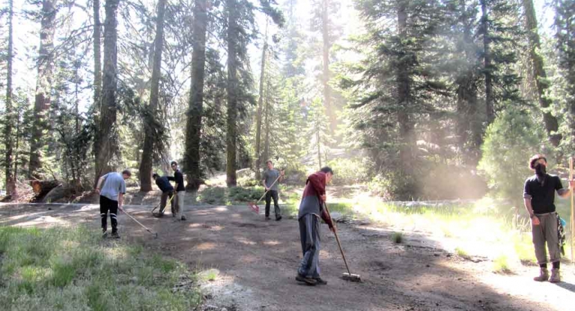 A group of outward bound students use gardening tools to work on a trail in a wooded area. 